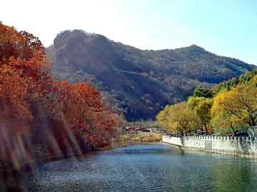 新澳天天彩免费资料大全查询，长毛兔养殖前景